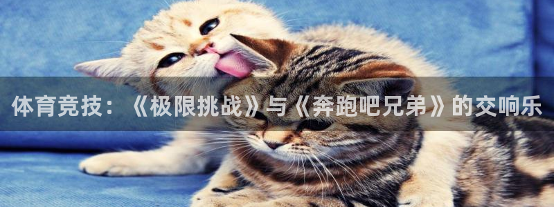 米兰体育官方正版app代理