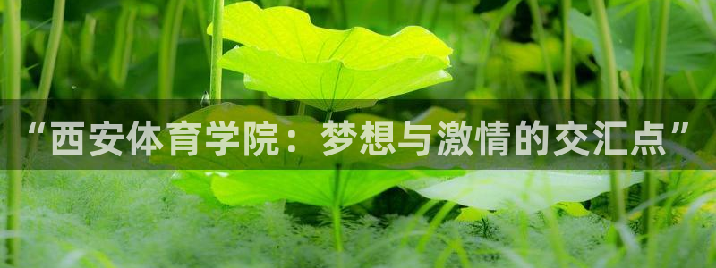 米兰体育官网下载招商电话地址：“西安体育学院：梦想与激情的交