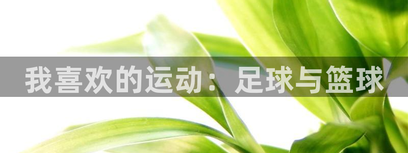 海南米兰体育官网下载发展怎么样：我喜欢的运动：足球与篮球