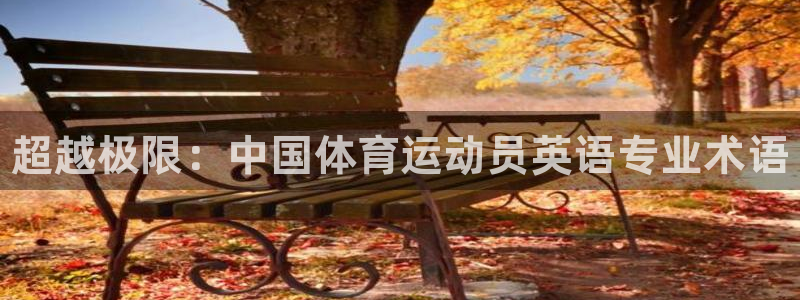 米兰体育官方正版app集团：超越极限：中国体育运动员英语专业