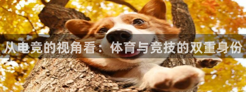米兰体育官网下载招商电话：从电竞的视角看：体育与竞技