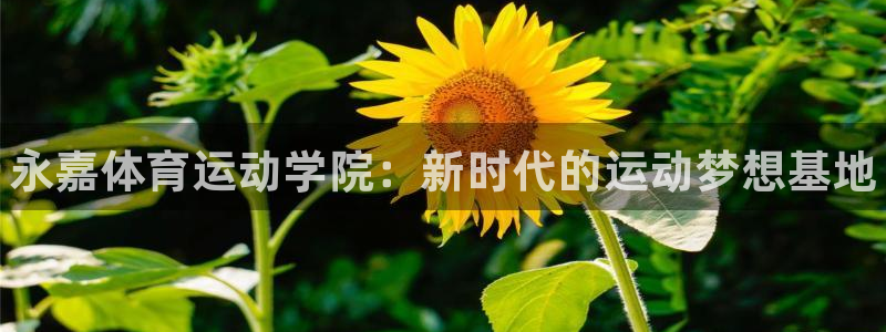 米兰体育官网下载平台是正规平台吗安全吗：永嘉体育运动