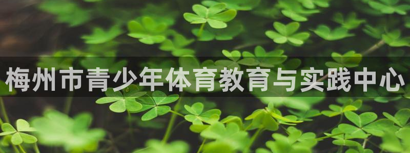 米兰体育官方正版app集团E.ON：梅州市青少年体育