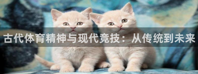 米兰体育官方正版app集团简介