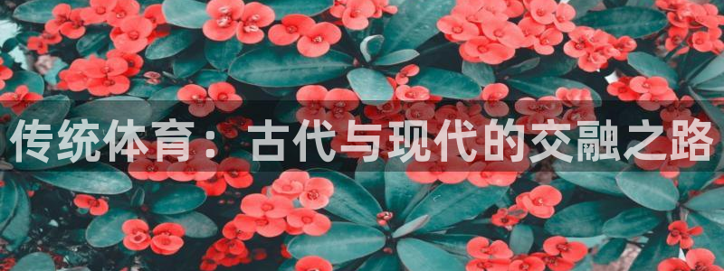 米兰体育官方正版app娱乐下载：传统体育：古代与现代