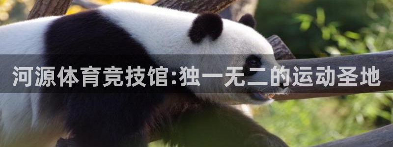 米兰体育官网下载招商电话号码是多少号：河源体育竞技馆