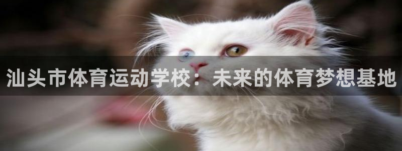 米兰体育官方正版app代理：汕头市体育运动学校：未来的体育梦