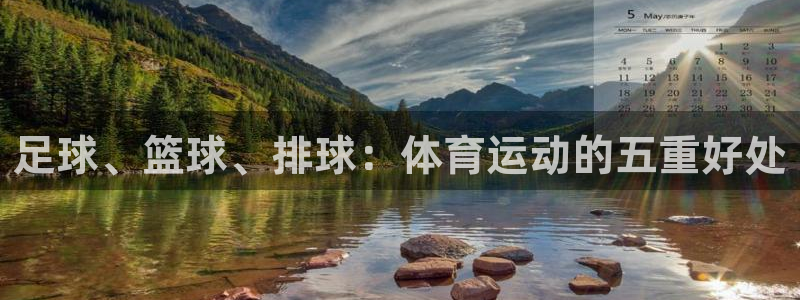 米兰体育官网下载招商电话号码：足球、篮球、排球：体育运动的五