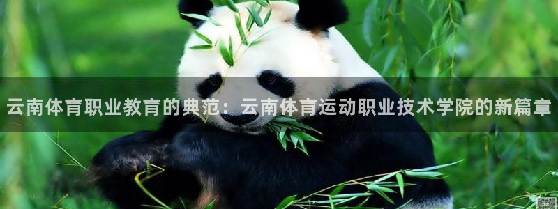 米兰体育官网下载平台注册：云南体育职业教育的典范：云