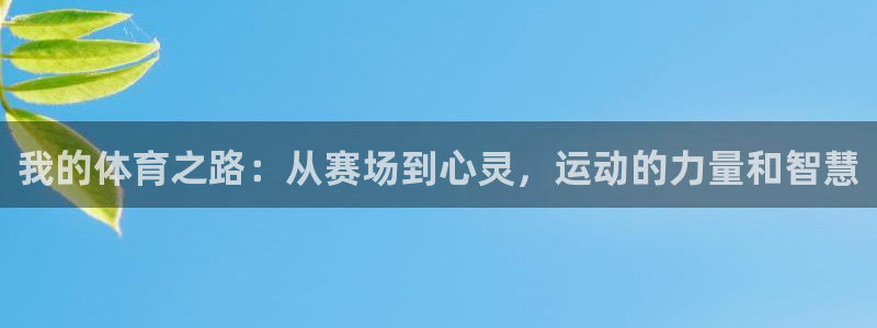 德国米兰体育官方正版app集团：我的体育之路：从赛场