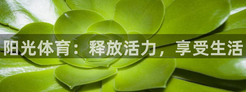 米兰体育官网下载招商电话号码是多少：阳光体育：释放活力，享受