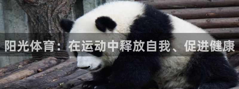 米兰体育官网下载平台假的吗是真的吗吗：阳光体育：在运动中释放