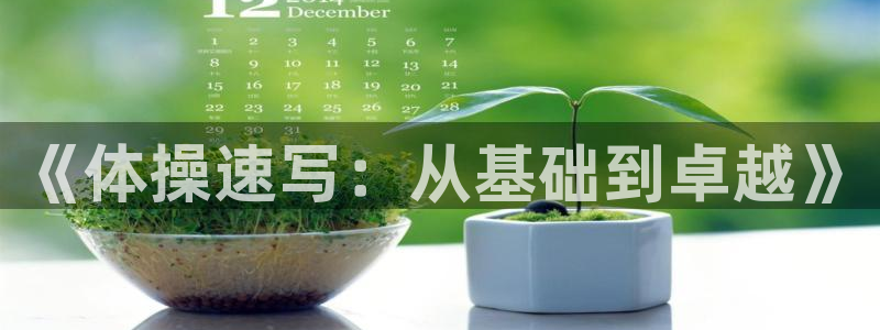 米兰体育官方正版app五金厂：《体操速写：从基础到卓越》