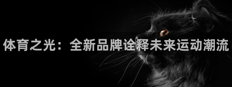 米兰体育官网下载招商：体育之光：全新品牌诠释未来运动