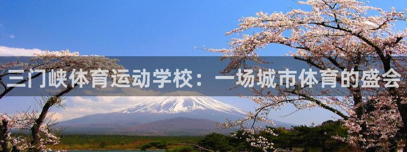 米兰体育官方集团官网：三门峡体育运动学校：一场城市体育的盛会