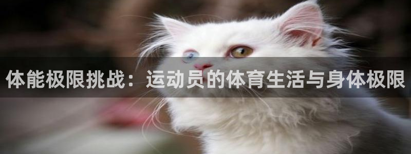 米兰体育官网下载招商电话号码是多少