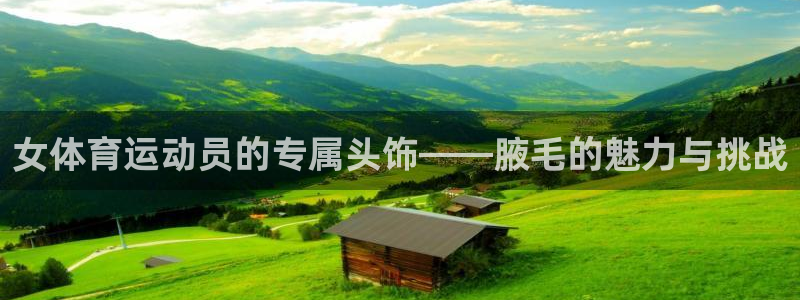 米兰体育官网下载平台是正规平台吗