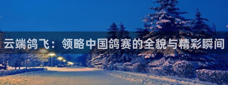 上海劲爆体育在线直播