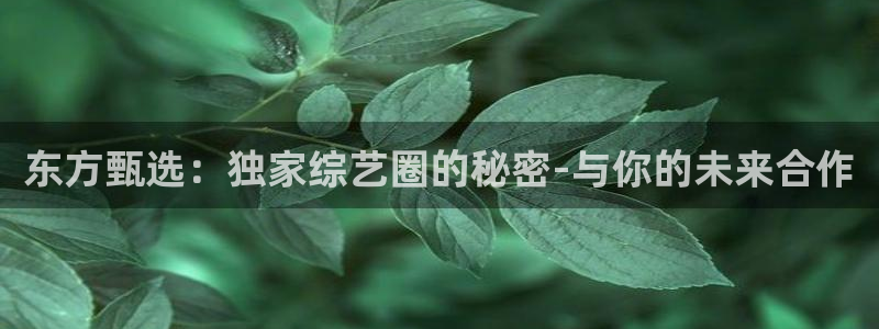 劲爆体育频道在线直播