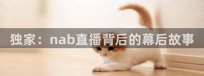 劲爆体育直播免费观看完整版：独家：nab直播背后的幕后故事