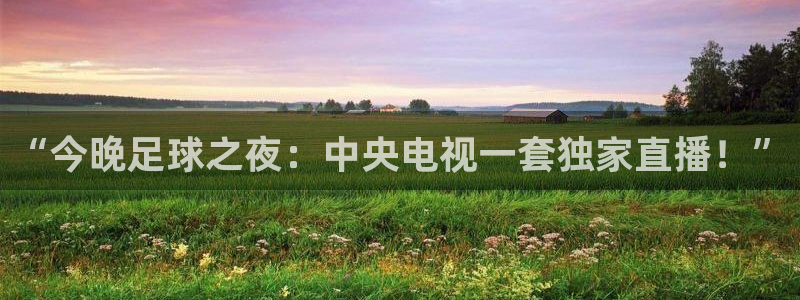 劲爆体育免费观看：“今晚足球之夜：中央电视一套独家直播！”