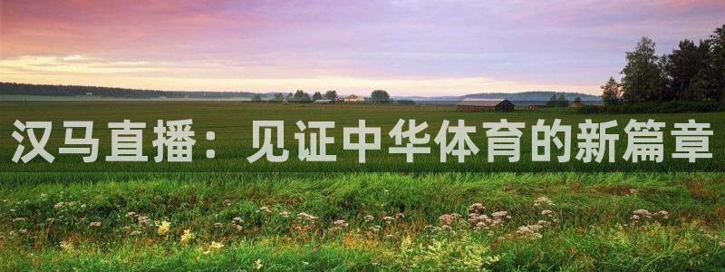 劲爆体育比赛直播：汉马直播：见证中华体育的新篇章