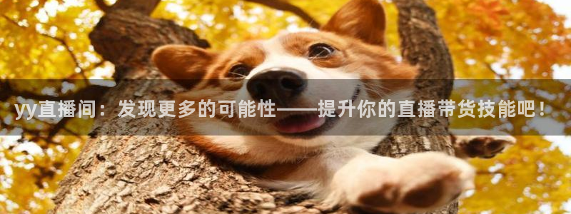 劲爆体育在线直播：yy直播间：发现更多的可能性——提升你的直播带货技能吧！