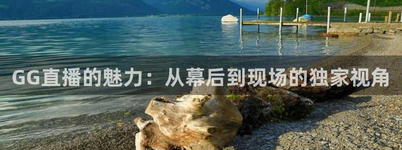 劲爆体育直播观看：GG直播的魅力：从幕后到现场的独家视角