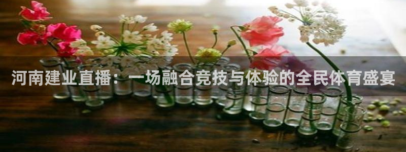 劲爆体育直播节目表：河南建业直播：一场融合竞技与体验的全民体育盛宴