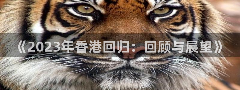 劲爆体育在线直播app：《2023年香港回归：回顾与展望》