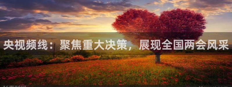 劲爆体育台直播：央视频线：聚焦重大决策，展现全国两会风采